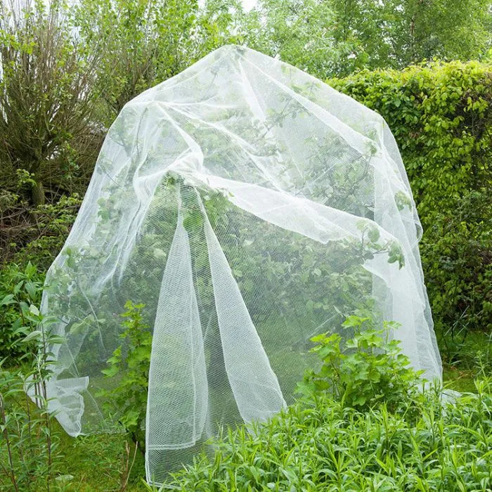 FIJNMAZIG INSECTENGAAS TEGEN FRUITMOT  5,20 M X 5 M