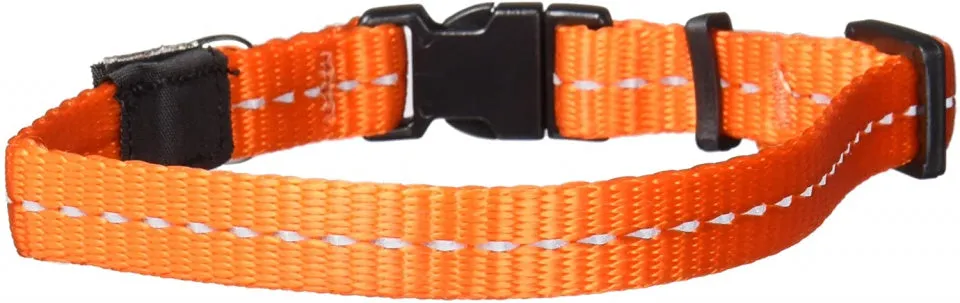 ROGZ FOR DOGS NITELIFE HALSBAND ORANJE 11 MMX2032 CM